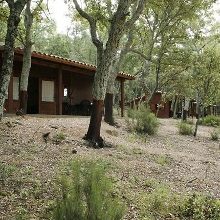 Camping Macanet De Cabrenys Exterior photo